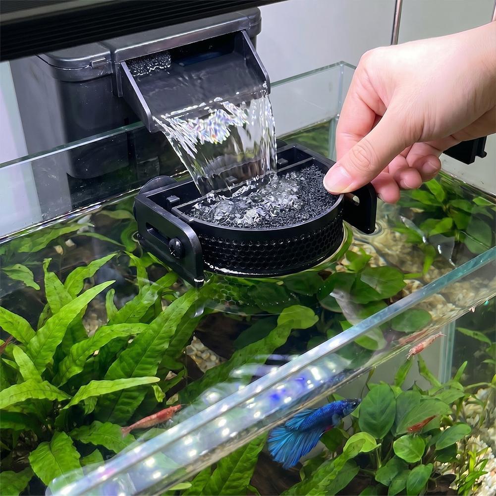 Betta Fish Tank - ﻿ حاجز فلتر حوض السمك الممتاز