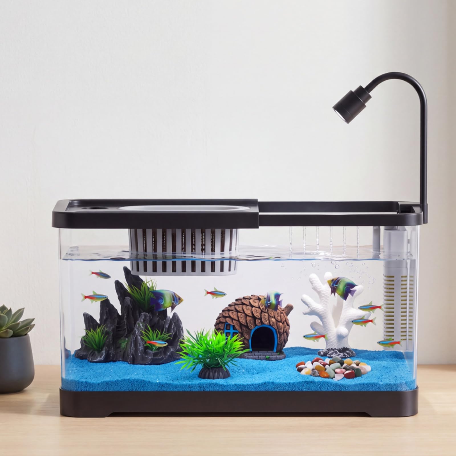 Betta Fish Tank - مجموعة بدء تربية الأسماك مع فلتر