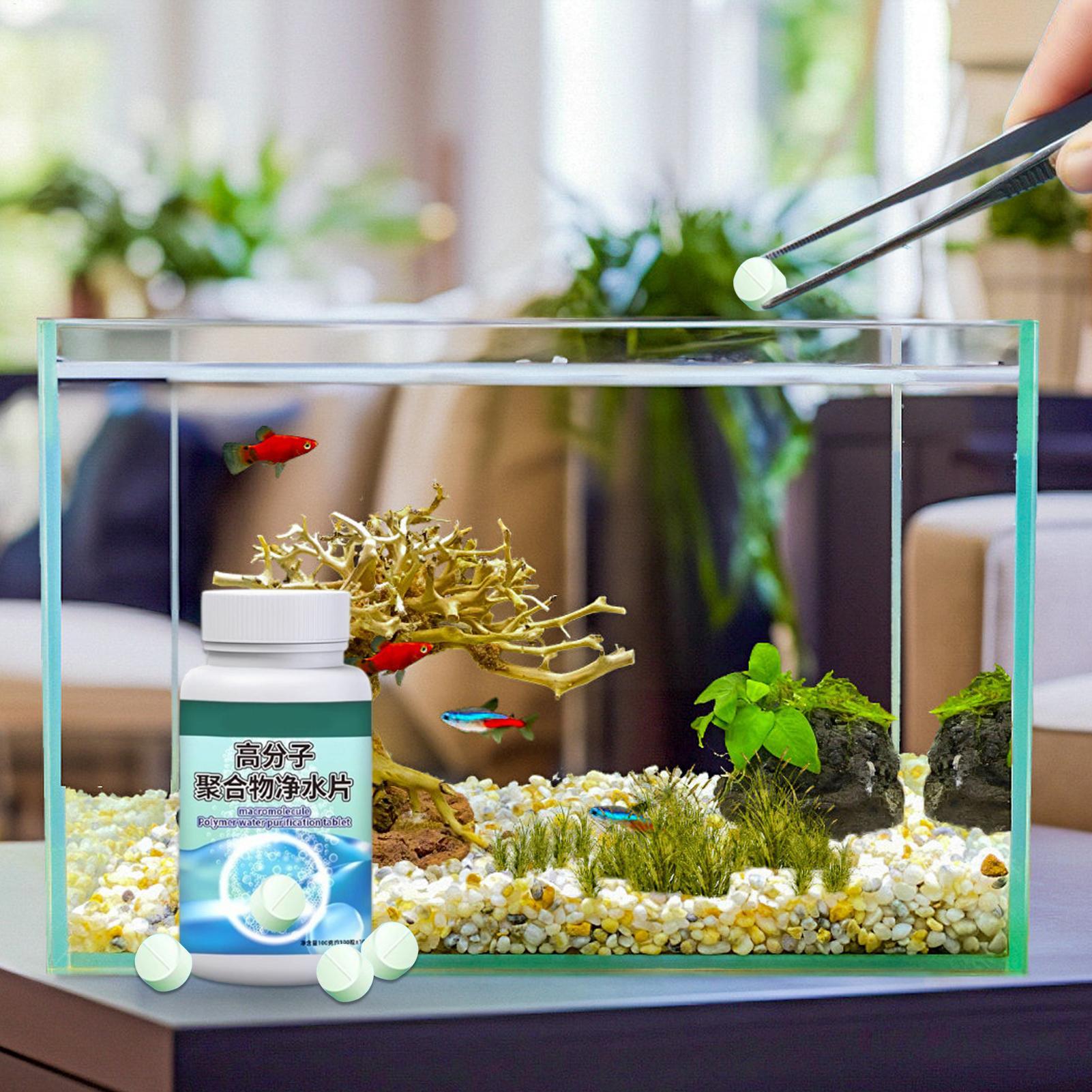 أقراص تنظيف المياه وإزالة الطح - مراجعة Betta Fish Tank وسعره