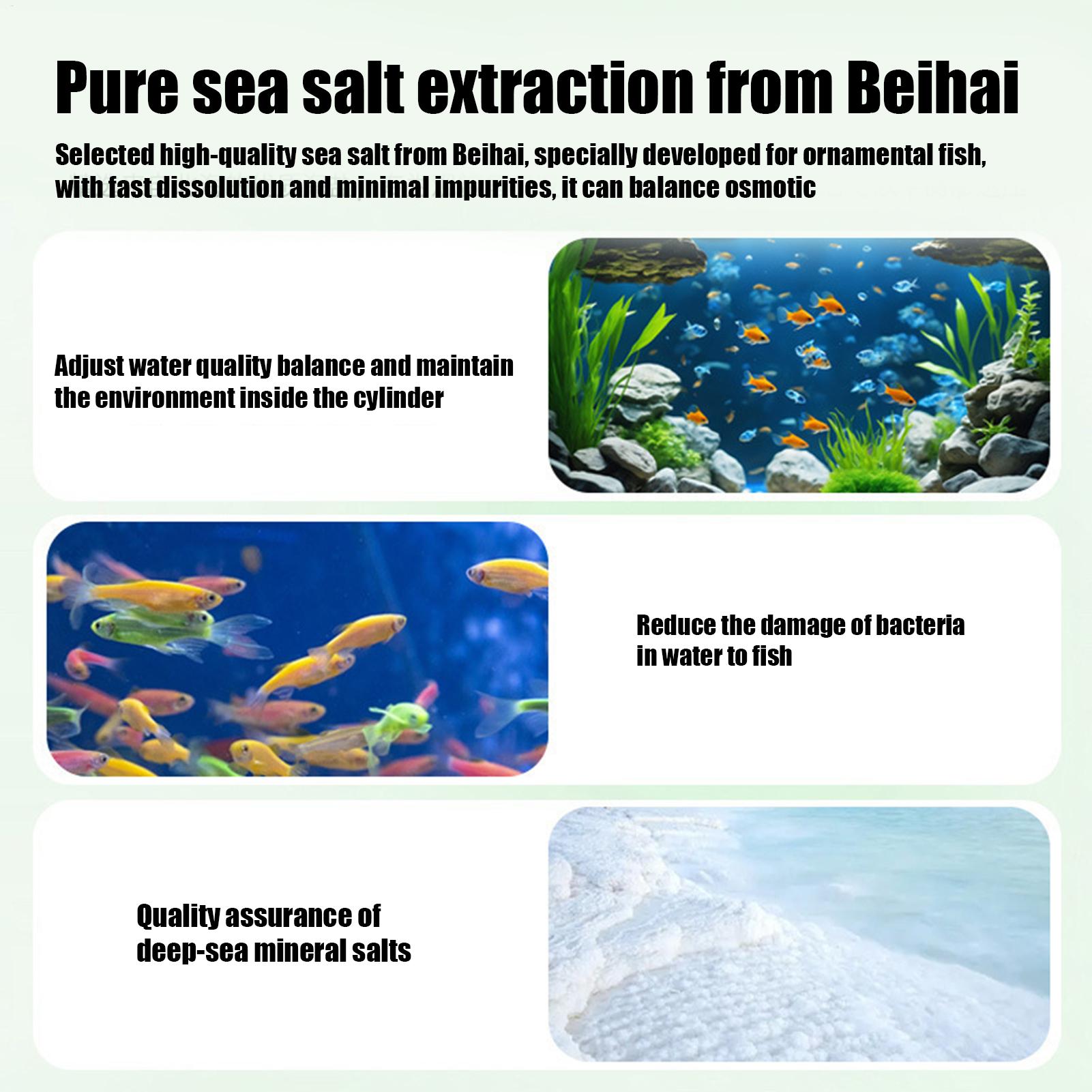 أقراص تنظيف المياه وإزالة الطح - مراجعة Betta Fish Tank وسعره