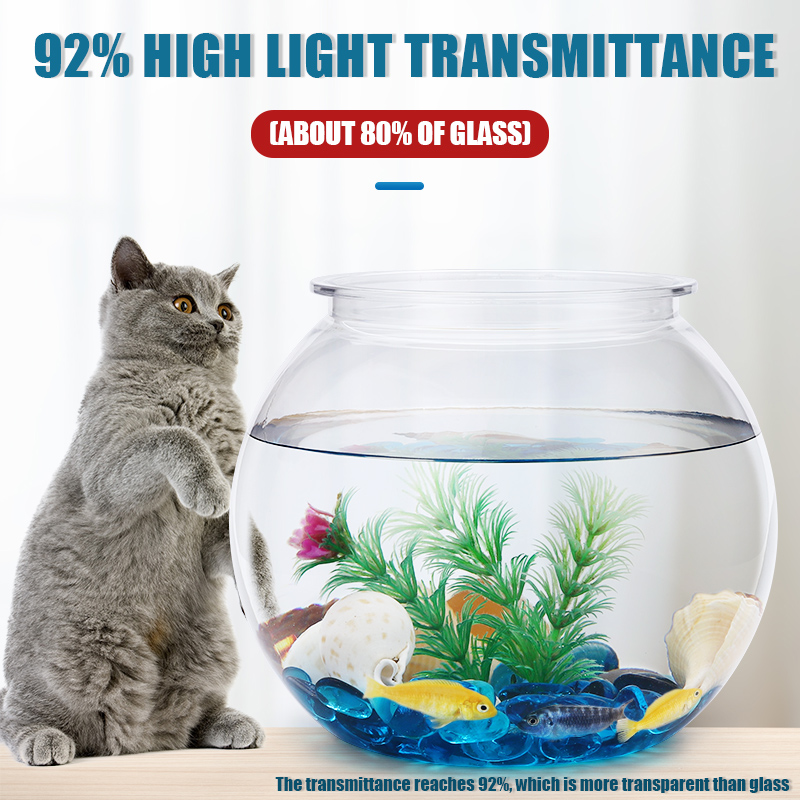 وعاء السمك البلاستيكي مقاسات L - مراجعة Betta Fish Tank وسعره