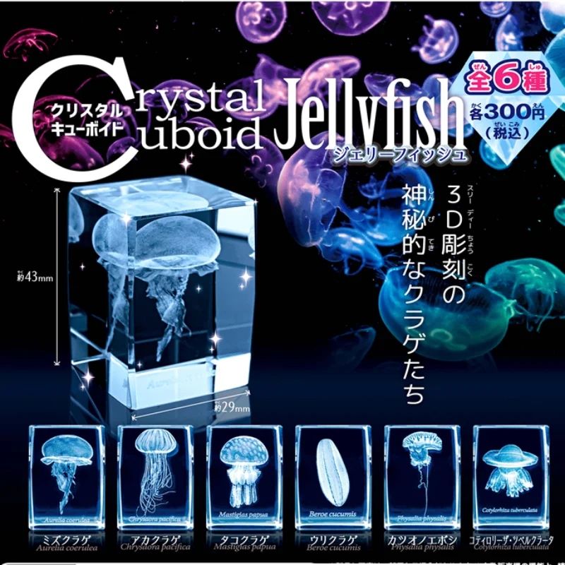 اليابان Gashapon قنديل البحر ث - مراجعة Aquarium Fish Keeping وسعره