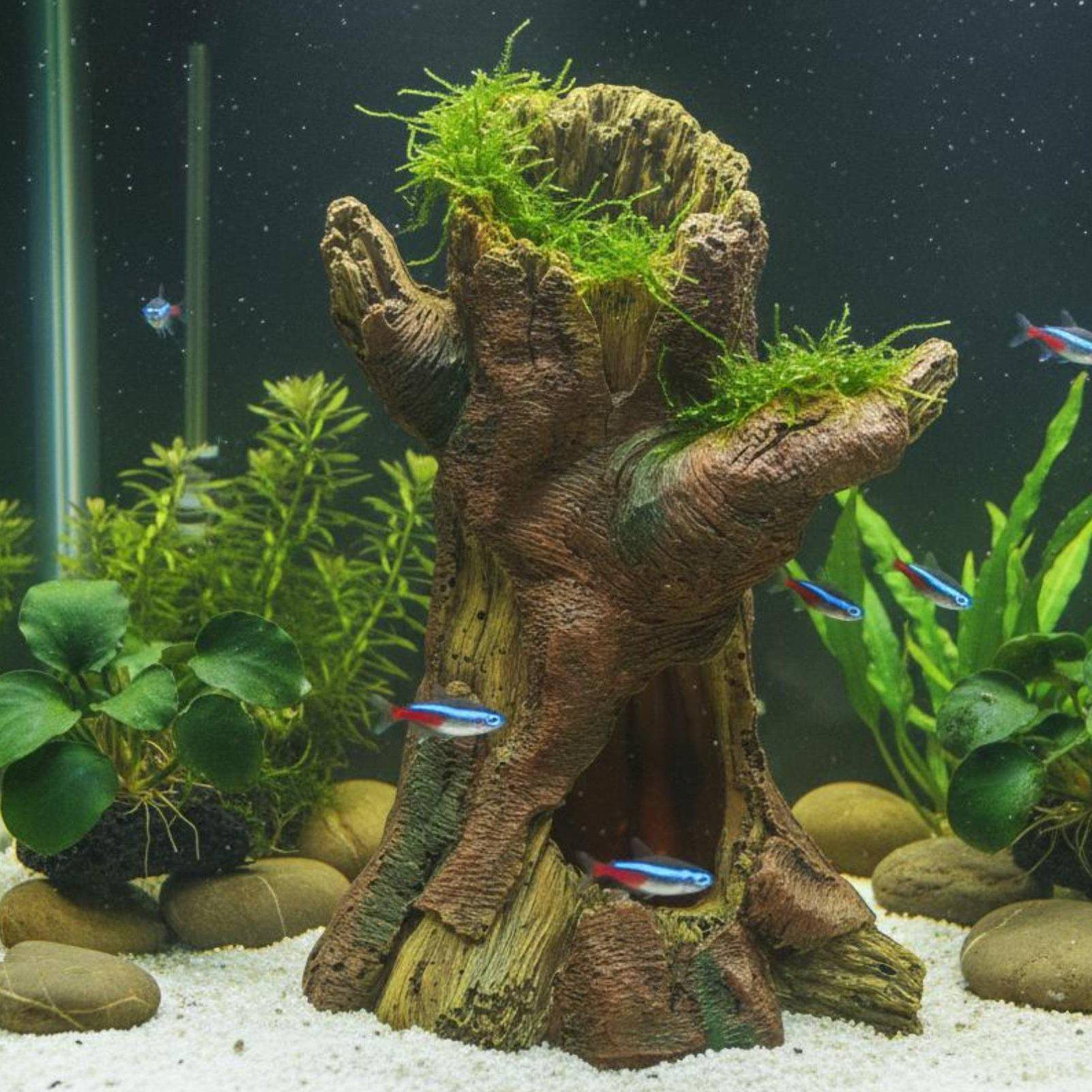 ديكور حوض السمك، زينة لتنسيق ا - مراجعة Aquarium Decor وسعره