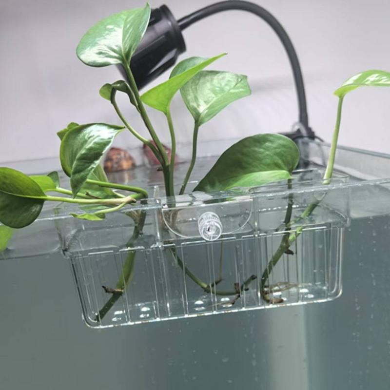 سلة زراعة مائية من الدرجة الغذ - مراجعة Fish Aquarium Home وسعره