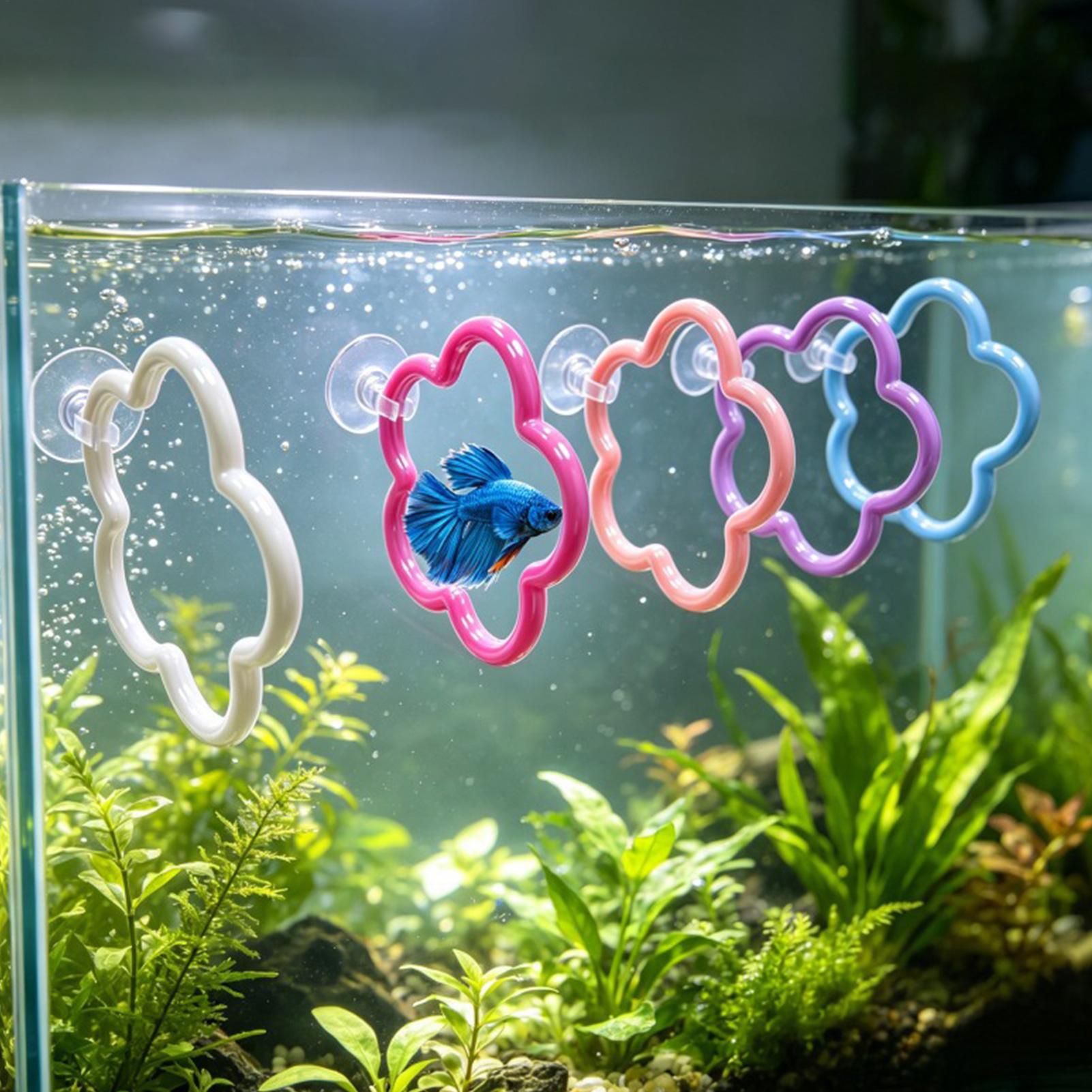 ألعاب سمك البيتا 5 قطع ملونة م - مراجعة Aquarium Fish Betta وسعره