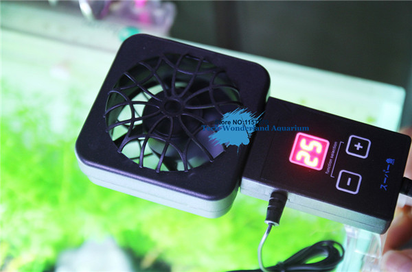 صغيرة نانو كليب شنق على مروحة  - مراجعة Fish Tank Heater وسعره