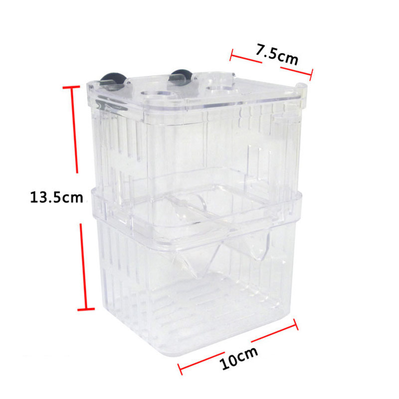 صندوق عزل تربية الأسماك الطاوو - مراجعة Betta Fish Tank وسعره